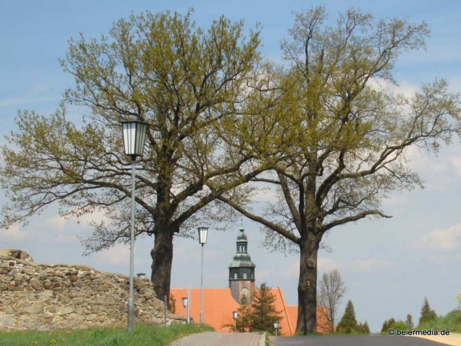 Abbildung: Barbarakapelle und St. Michaelis Kirche in Markersdorf.