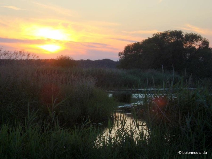 Abbildung: Sonnenuntergang in der Heide bei Rietschen.