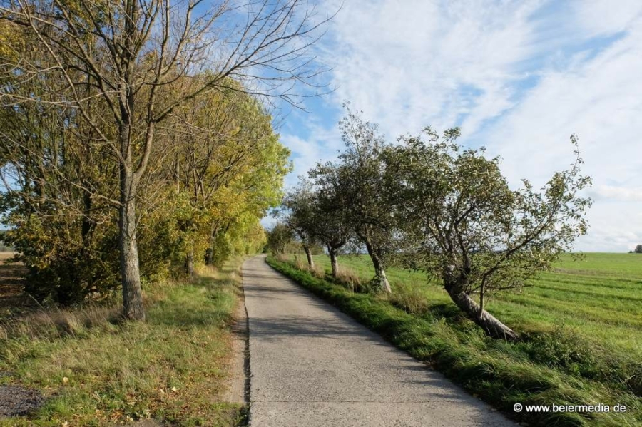 LEADER eröffnet neue Wege