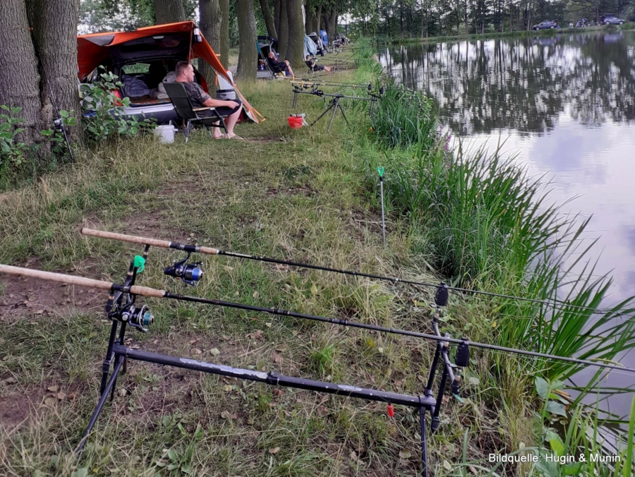 Vereinsangeln am Quolsdorfer Teich: Regenwetter kann doch einen Angler nicht erschüttern!