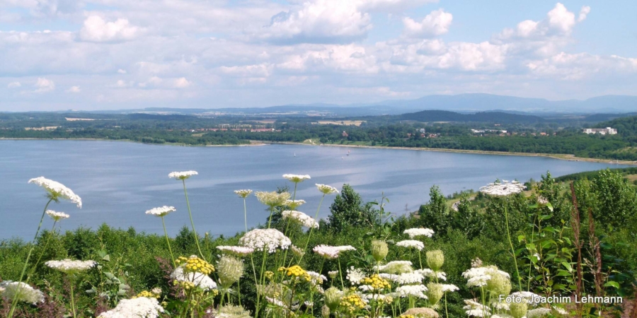 Der südliche Teil des Berzdorfer Sees im Mai 2021