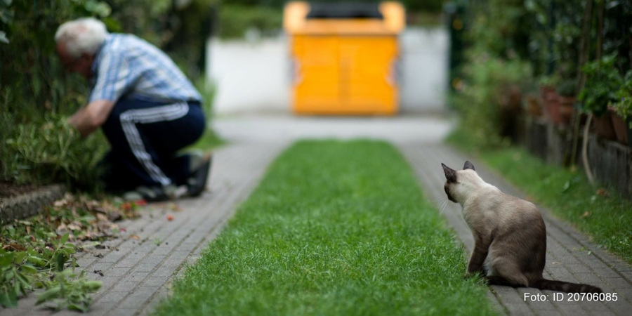 Das wussten wir schon immer: Gartenarbeit ist für die Katz', weil das Unkraut immer wieder nachwächst
