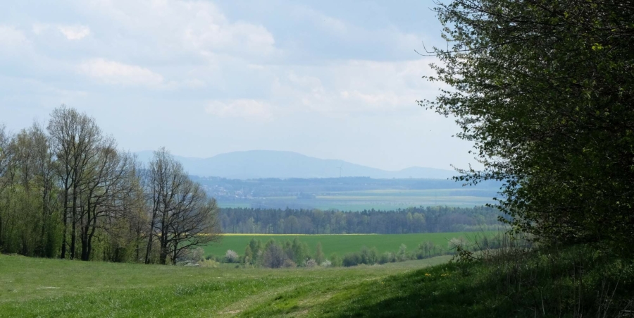 Der Frühling zieht ein: Auf Aufnahme entstand am 26. April 2020 in der Nähe der Markersdorfer Ortschaft Friedersdorf