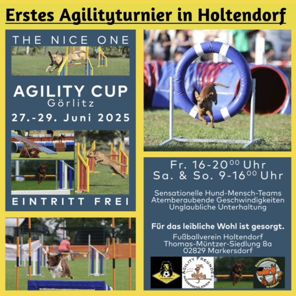 Agilityturnier